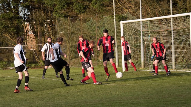 斗志的球队 斗志的球队