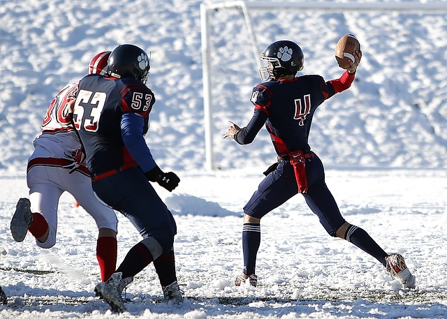 以女单项目 以女单项目